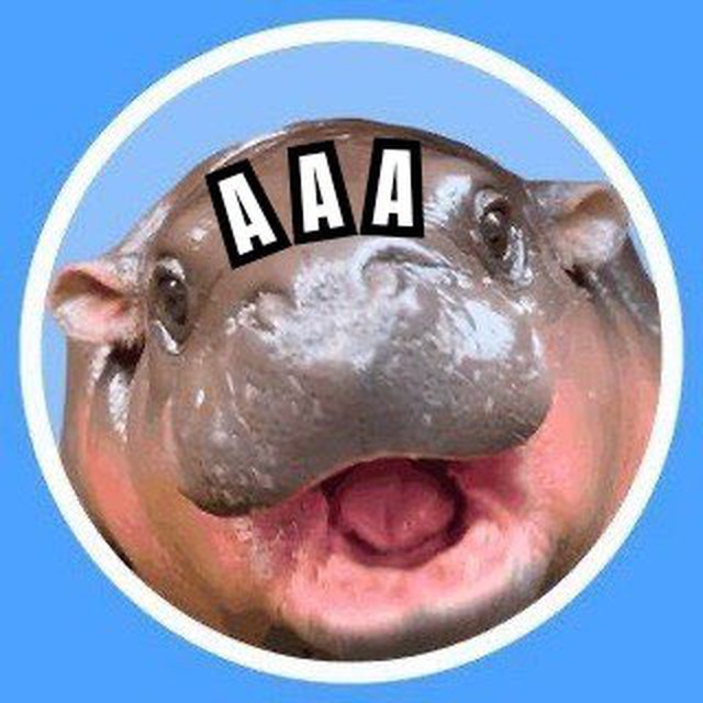 aaahippo