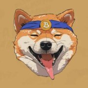 BitDoge meme