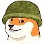 DogeArmy logo