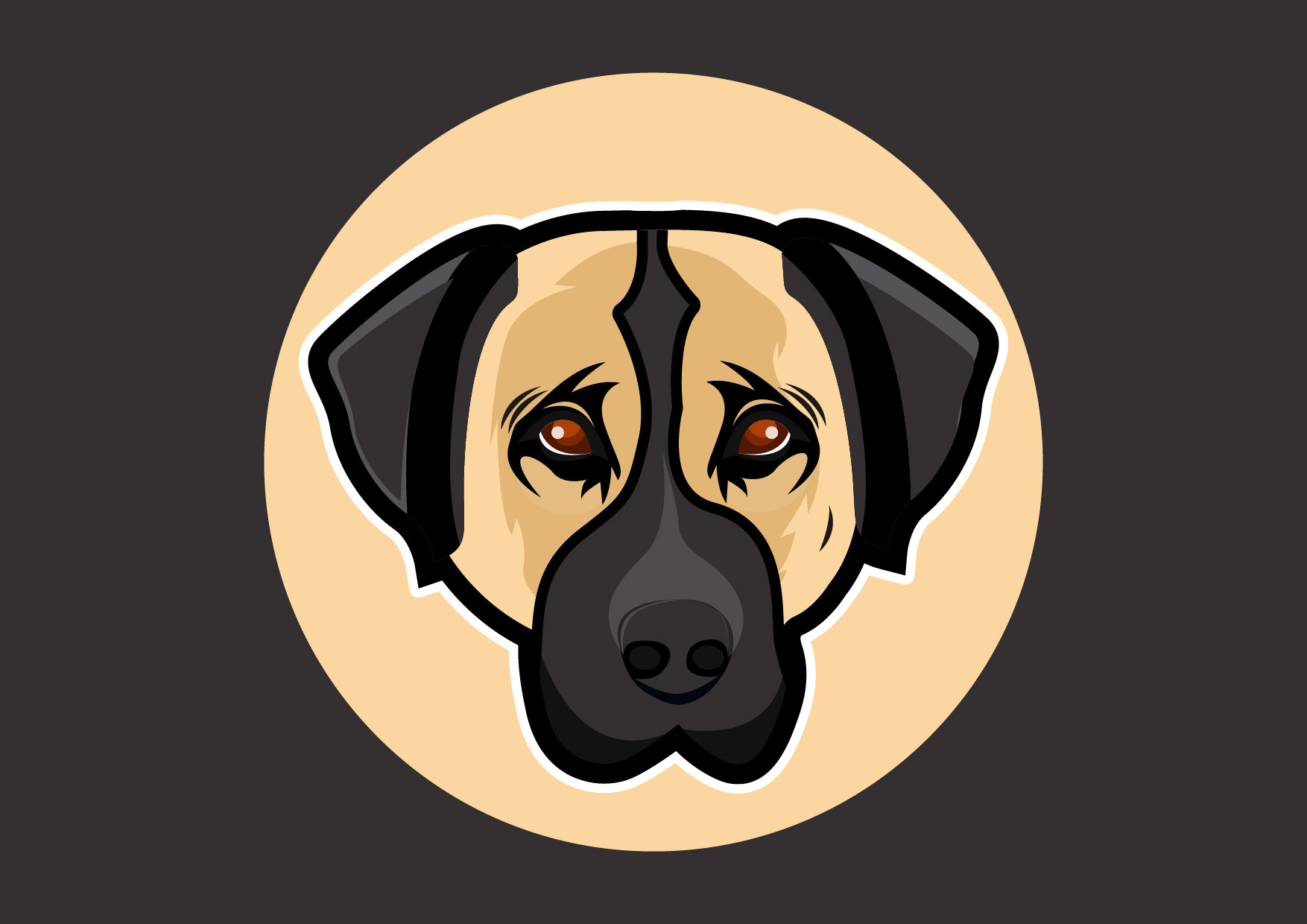 Anatolian Shepherd Dog Finance logo