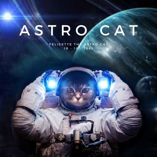 ASTRO CAT logo