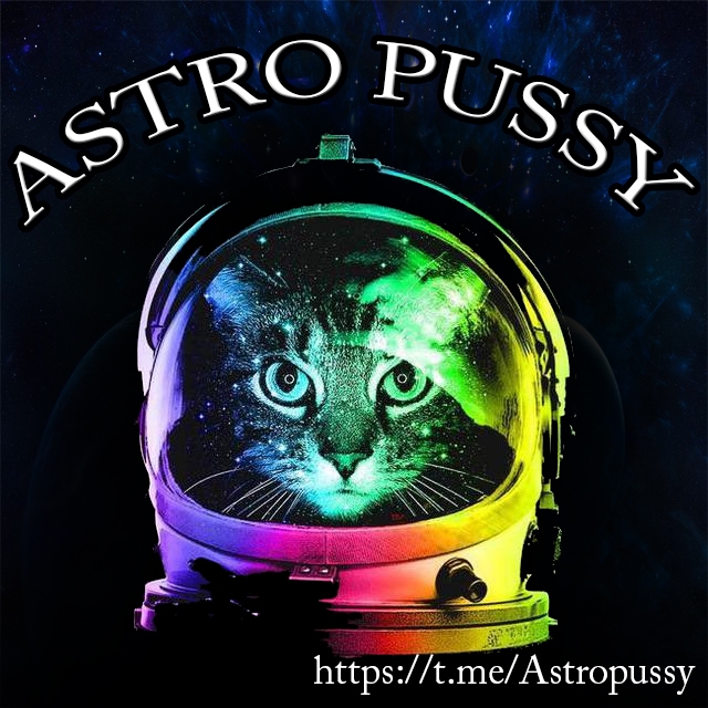 AstroPussy logo