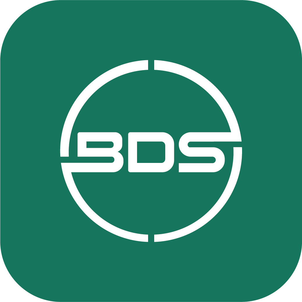 BDS Holding LLC logo