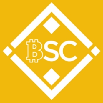 Bitcoin Smart Chain logo