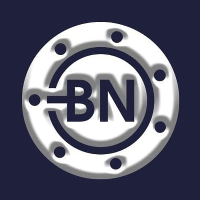 BitNorm Token logo