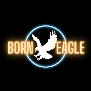 Borneagle logo