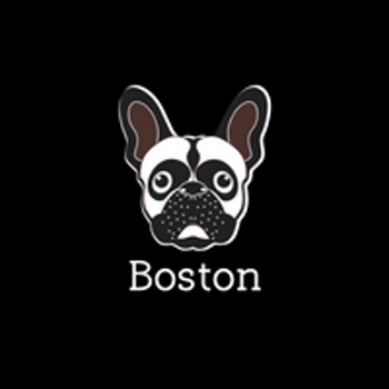 Boston Crypto logo