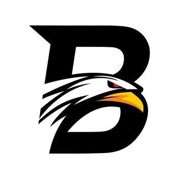 BraveBoy logo