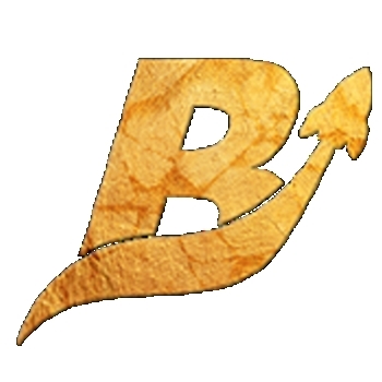 Brocoin logo
