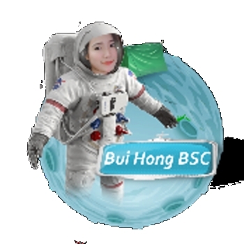 Bui Hong Token logo