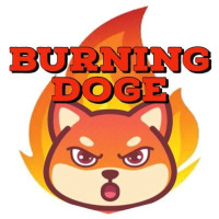 Burning Doge logo
