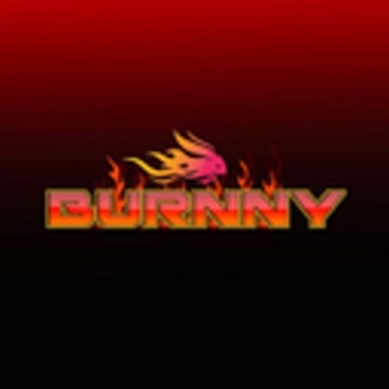 BurnnyBSC logo