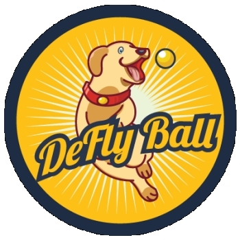 DeFlyBall logo