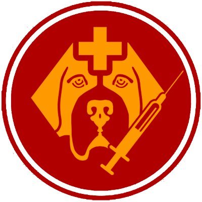 Doge Hospital logo