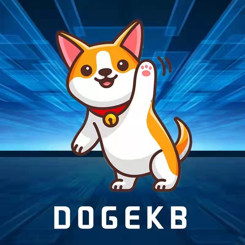 Doge King Baby logo