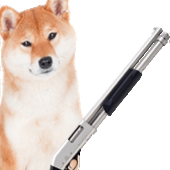 DogeGun logo