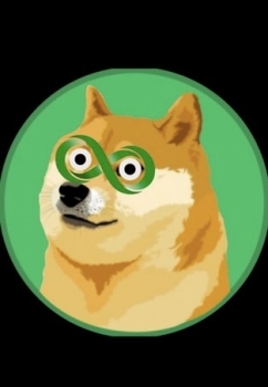 DogeInfinity logo