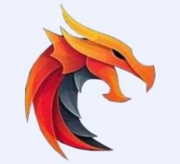 DragonMusk logo