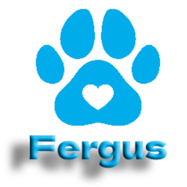 FERGUS logo