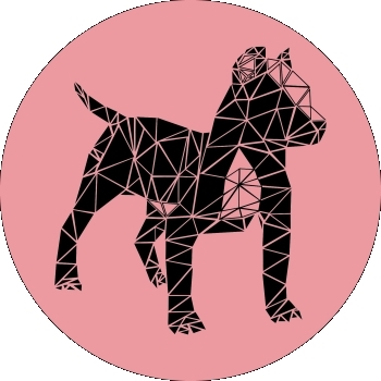 FidoRise logo
