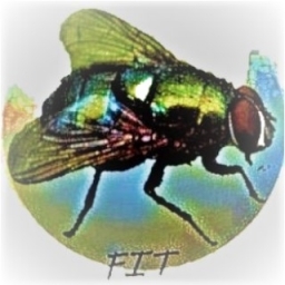FlieToken logo