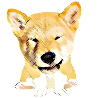 Floki Doge logo