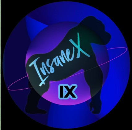 InsaneX logo