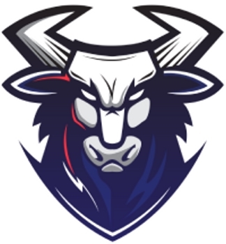 Mad Bull logo