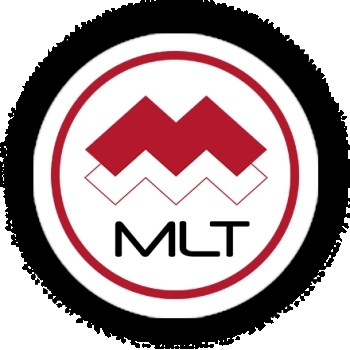 Media Industry Licensing Token logo