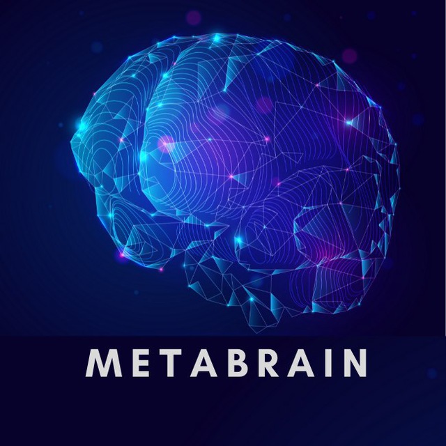 Meta Brain logo