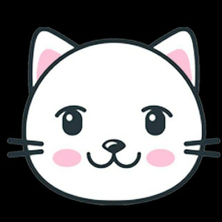 mKitty logo