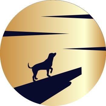 MoonDoge Coin logo