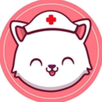 NurseKishu logo