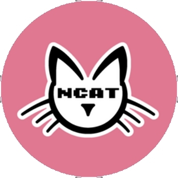 Nyan Cat Token logo