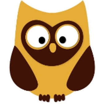 OWLNTOOLS logo