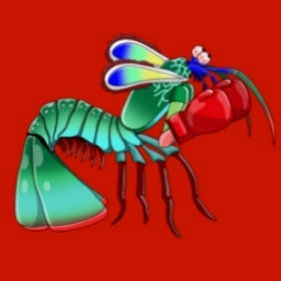 Peacock Mantis Shrimp logo