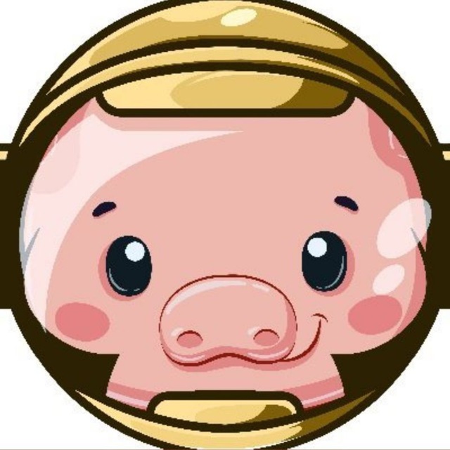 Pig Finance logo