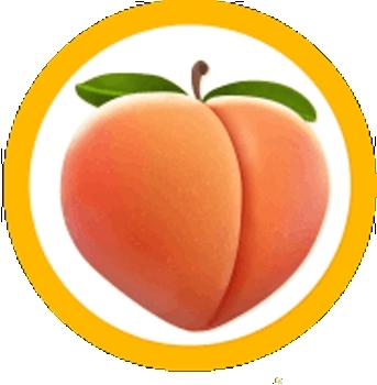 PornRocket logo