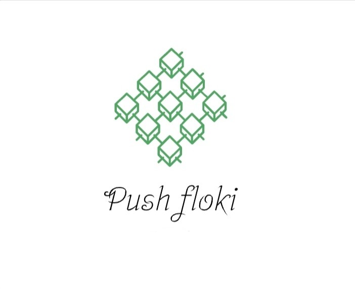 push floki logo