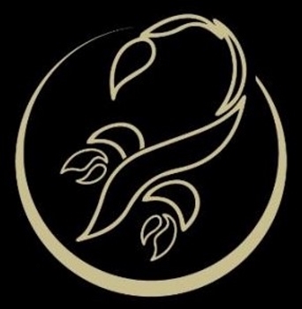 Scorpion Capital Management logo