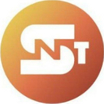 Share NFT Token logo