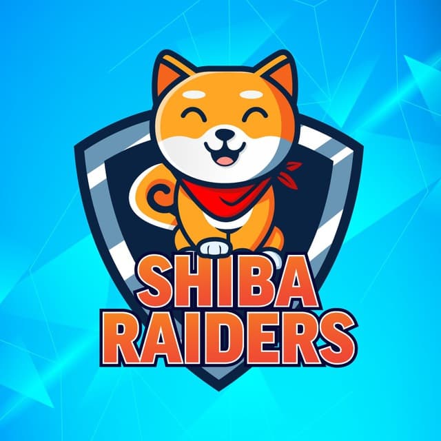 SHIBARAIDERS logo