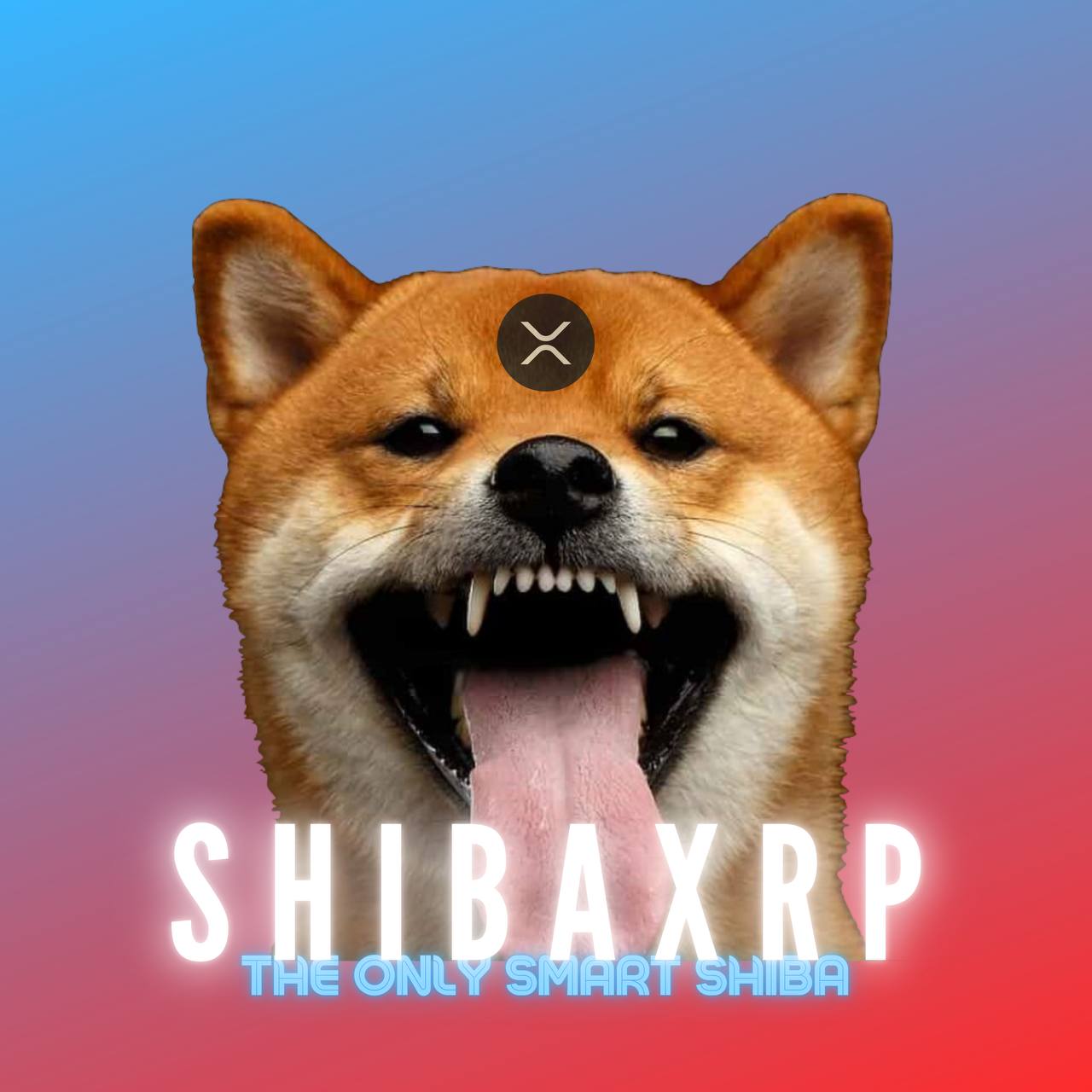 ShibaXRP logo