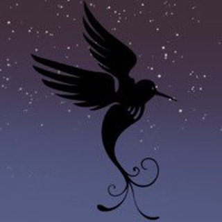 SpaceBird logo