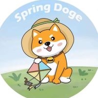 Spring Doge logo