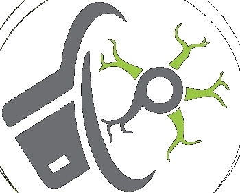 SYNAPSE PAY logo