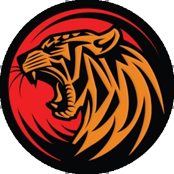 tigerTOKEN logo