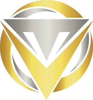 VALID logo