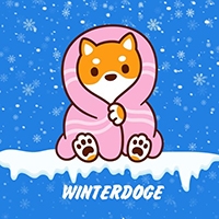 WinterDoge
