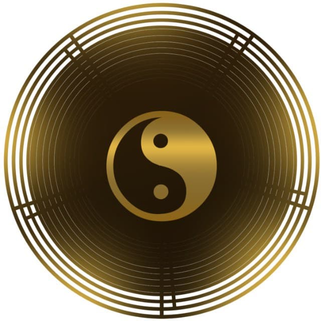 Yin Yang Token logo